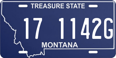 MT license plate 171142G