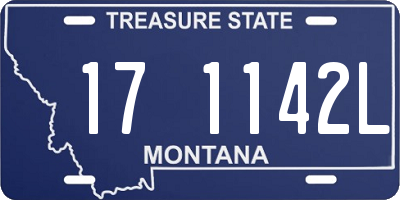 MT license plate 171142L