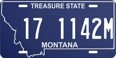 MT license plate 171142M