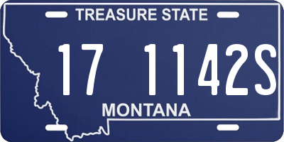 MT license plate 171142S