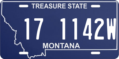 MT license plate 171142W
