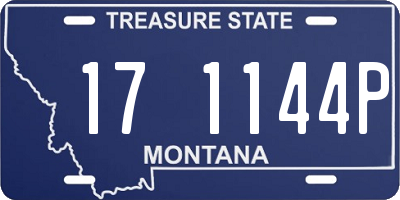 MT license plate 171144P