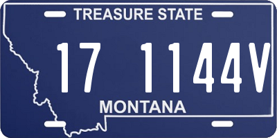 MT license plate 171144V