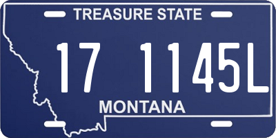 MT license plate 171145L