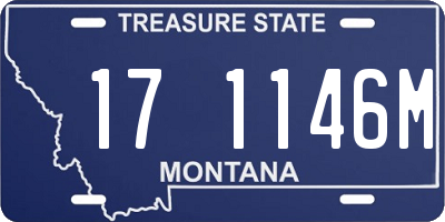 MT license plate 171146M