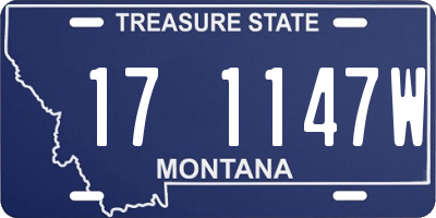 MT license plate 171147W