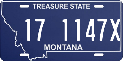 MT license plate 171147X
