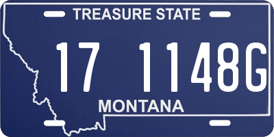 MT license plate 171148G