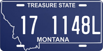 MT license plate 171148L