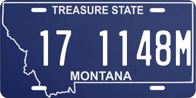 MT license plate 171148M