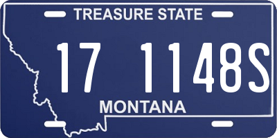 MT license plate 171148S