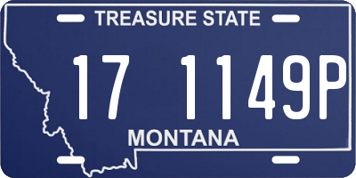 MT license plate 171149P
