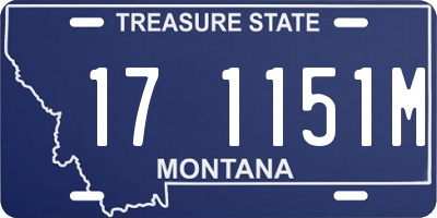 MT license plate 171151M