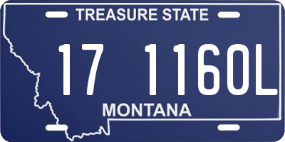 MT license plate 171160L