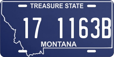 MT license plate 171163B
