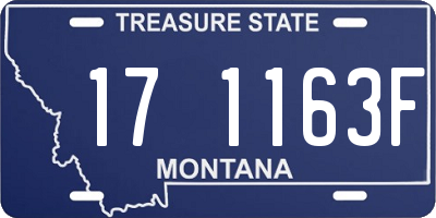 MT license plate 171163F