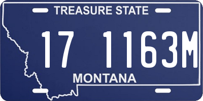 MT license plate 171163M