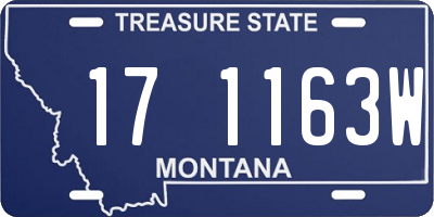 MT license plate 171163W