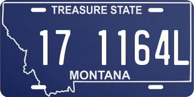 MT license plate 171164L