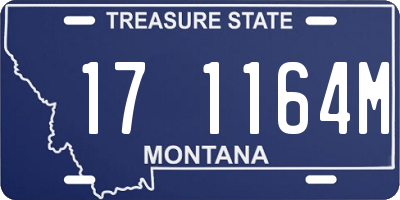 MT license plate 171164M