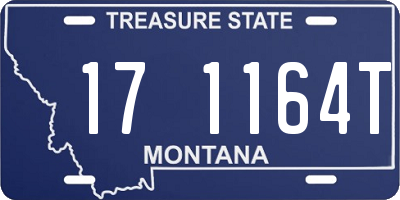 MT license plate 171164T
