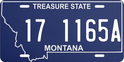 MT license plate 171165A