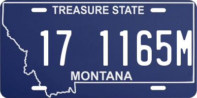 MT license plate 171165M