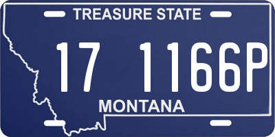 MT license plate 171166P
