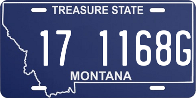 MT license plate 171168G
