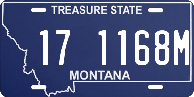 MT license plate 171168M