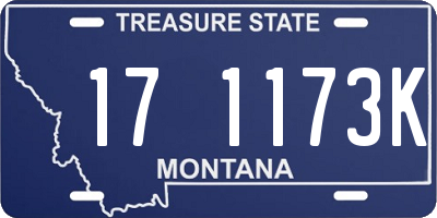 MT license plate 171173K