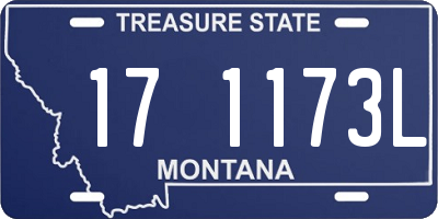 MT license plate 171173L