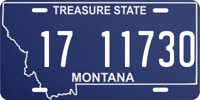 MT license plate 171173O