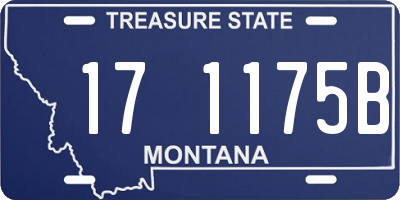 MT license plate 171175B