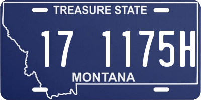 MT license plate 171175H