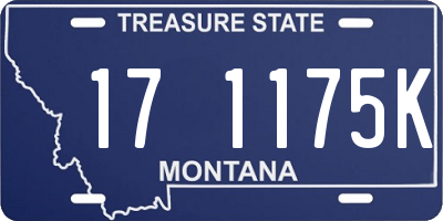 MT license plate 171175K