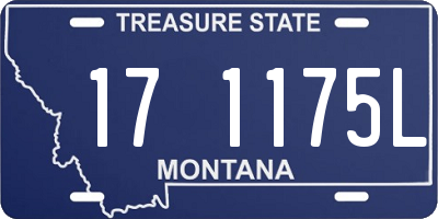 MT license plate 171175L