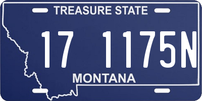 MT license plate 171175N