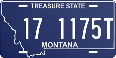 MT license plate 171175T