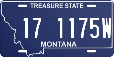 MT license plate 171175W