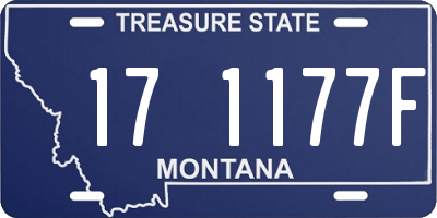 MT license plate 171177F