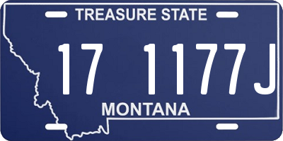 MT license plate 171177J