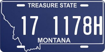 MT license plate 171178H