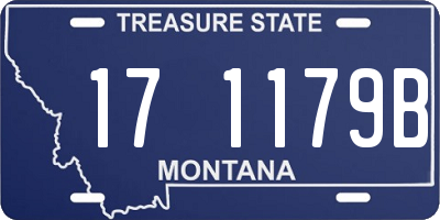 MT license plate 171179B