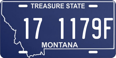 MT license plate 171179F