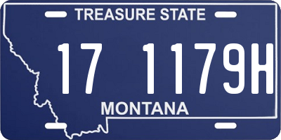 MT license plate 171179H