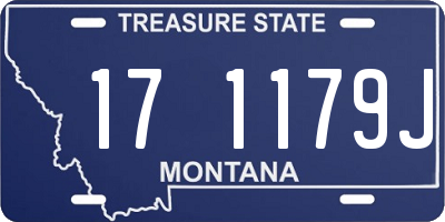 MT license plate 171179J