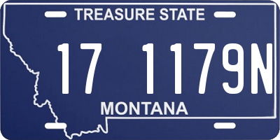 MT license plate 171179N