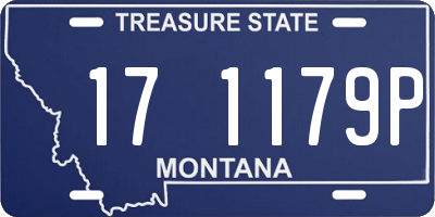 MT license plate 171179P