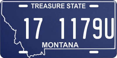 MT license plate 171179U